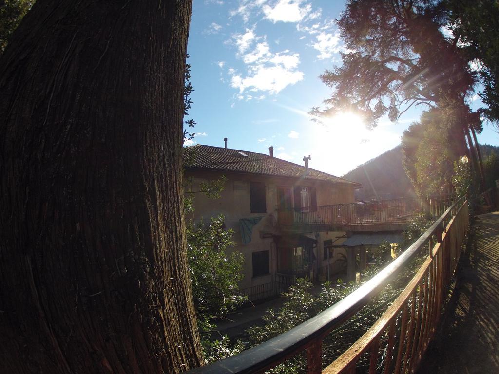 B&B Il Cedro Genova Eksteriør bilde