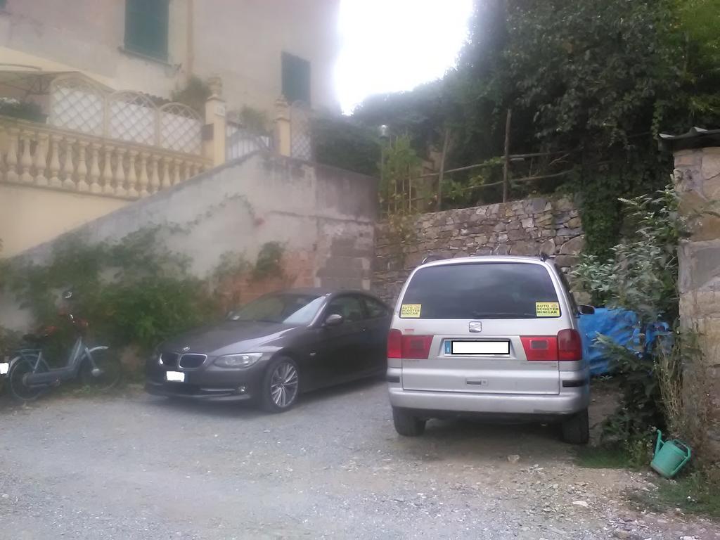 B&B Il Cedro Genova Eksteriør bilde